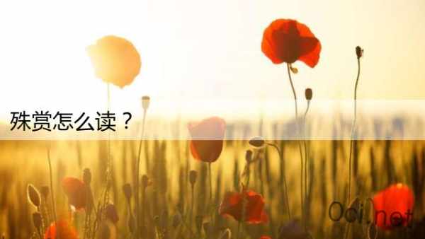 殊赏怎么读？