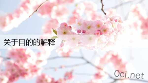 关于目的的解释