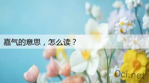嘉气的意思，怎么读？