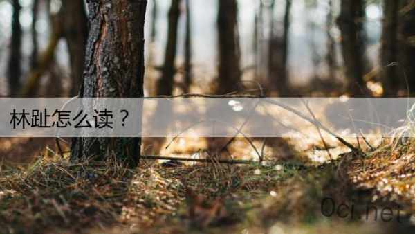 林趾怎么读？