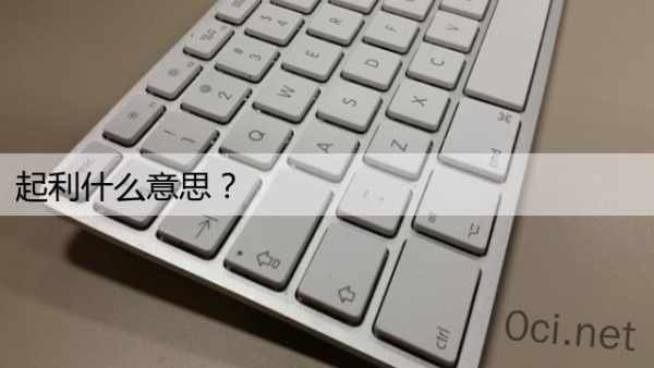 起利什么意思？