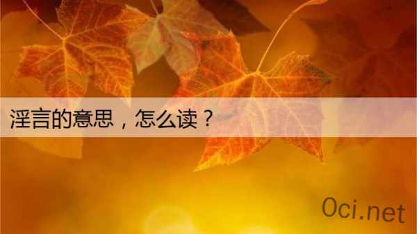 淫言的意思，怎么读？