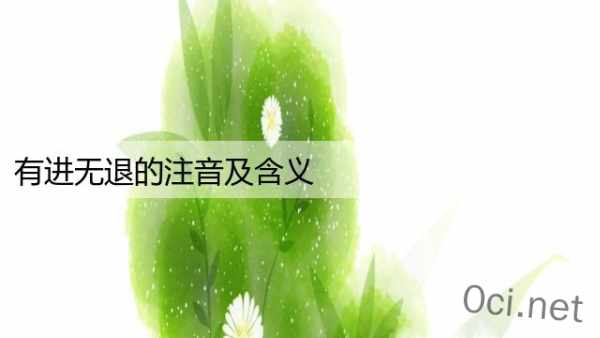 有进无退的注音及含义