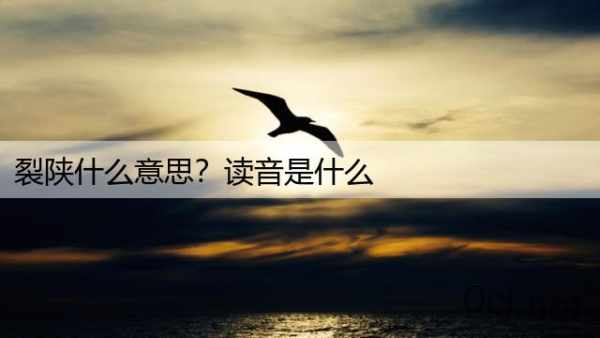 裂陕什么意思？读音是什么