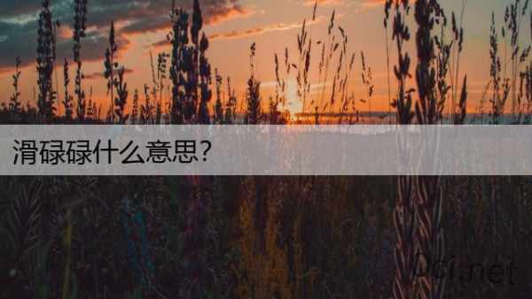 滑碌碌什么意思？