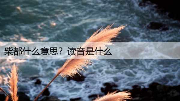 柴都什么意思？读音是什么