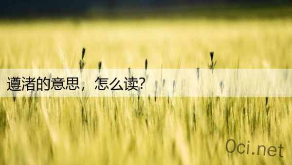 遵渚的意思，怎么读？