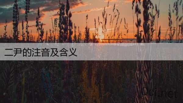 二尹的注音及含义