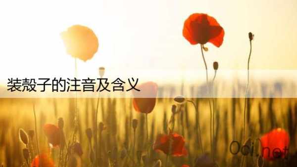 装殻子的注音及含义