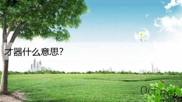 才器什么意思？