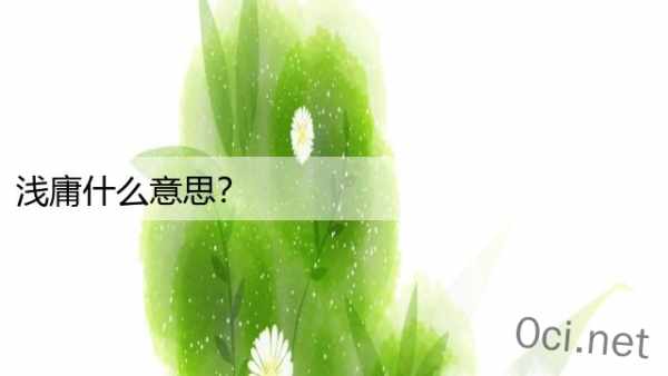 浅庸什么意思？