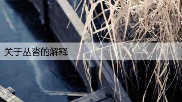 关于丛沓的解释