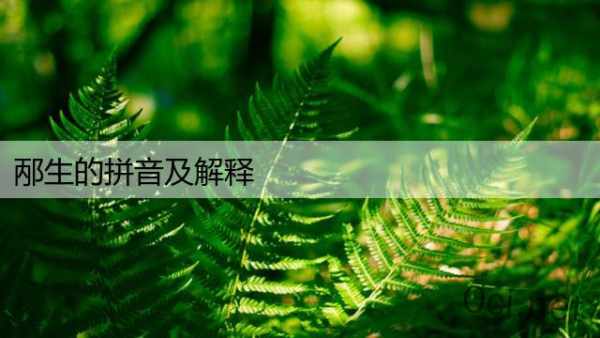邴生的拼音及解释