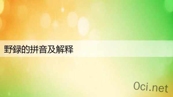 野録的拼音及解释