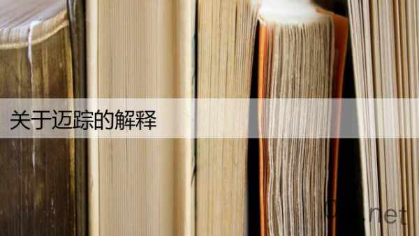 关于迈踪的解释