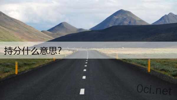 持分什么意思？
