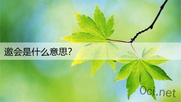 邀会是什么意思？