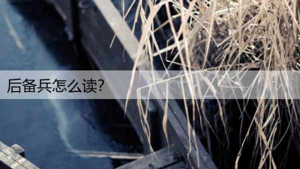 后备兵怎么读？
