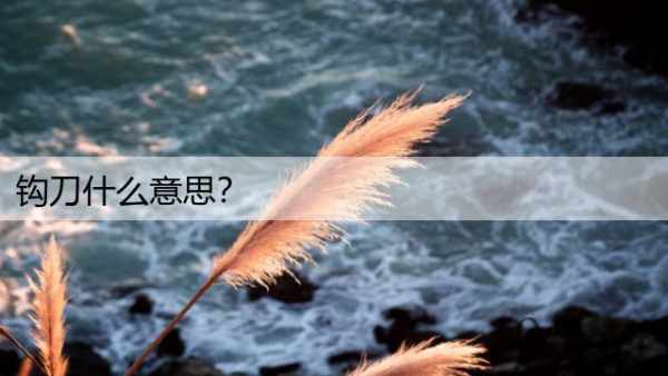 钩刀什么意思？