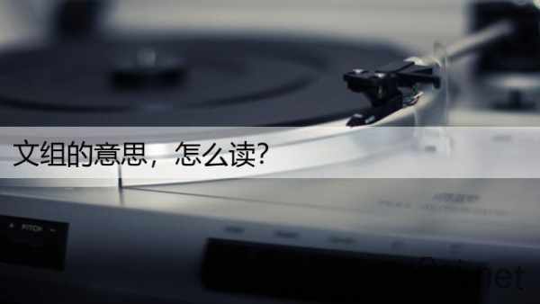 文组的意思，怎么读？