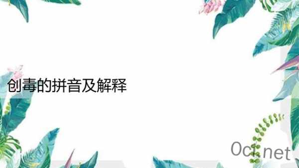 创毒的拼音及解释