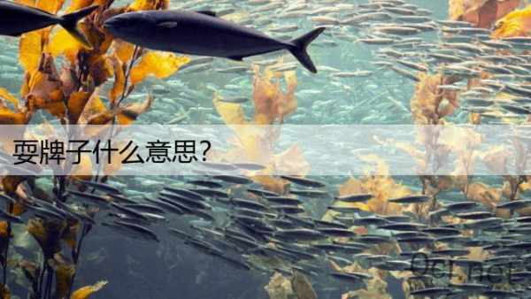 耍牌子什么意思？