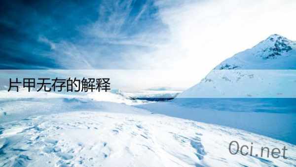 片甲无存的解释