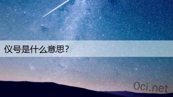 仪号是什么意思？