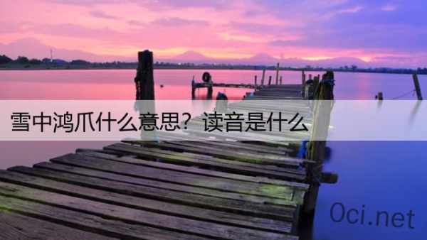 雪中鸿爪什么意思？读音是什么