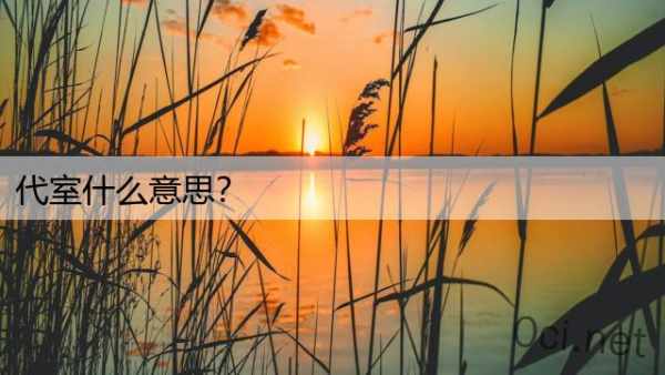 代室什么意思？