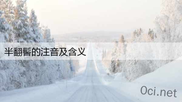 半翻髻的注音及含义