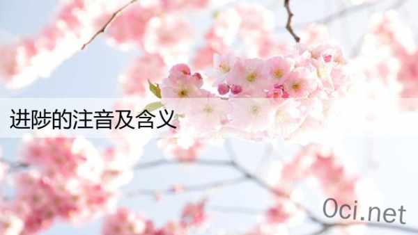 进陟的注音及含义