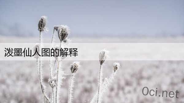 泼墨仙人图的解释