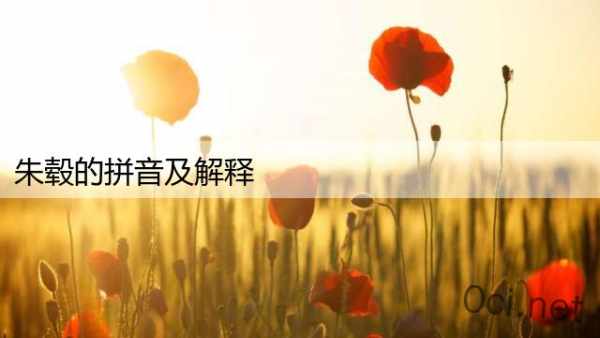朱毂的拼音及解释