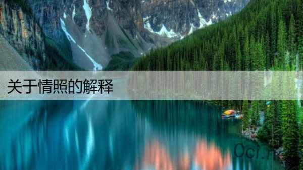 关于情照的解释