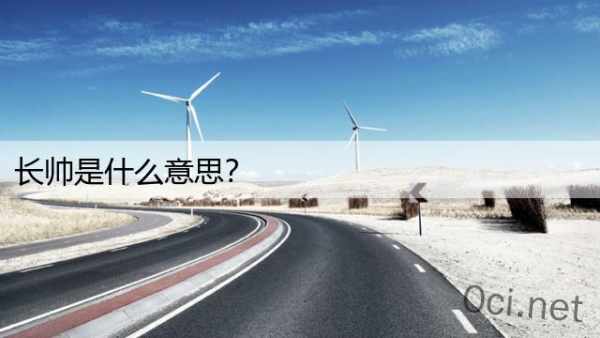 长帅是什么意思？