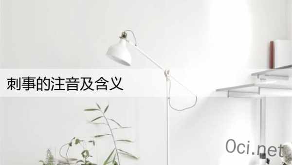 刺事的注音及含义