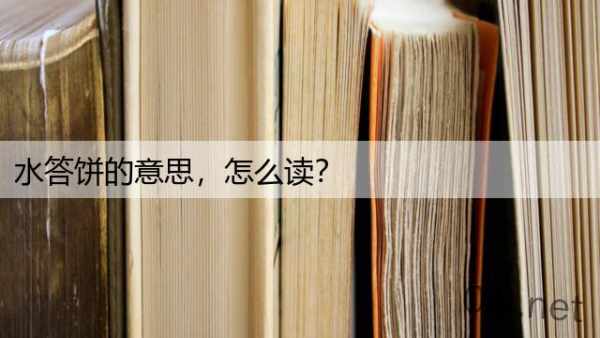 水答饼的意思，怎么读？