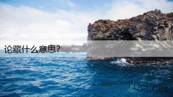 论藏什么意思？