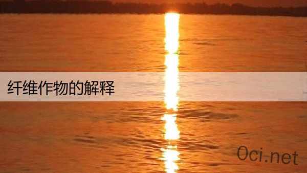 纤维作物的解释