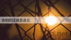 告别的注音及含义