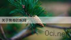 关于焦卷的解释