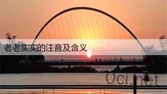 老老实实的注音及含义