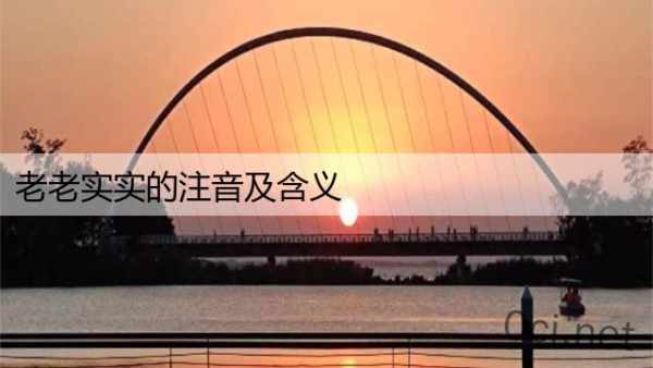 老老实实的注音及含义