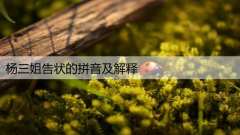 杨三姐告状的拼音及解释