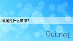 藩属是什么意思？
