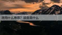 泄用什么意思？读音是什么