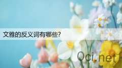 文雅的反义词有哪些？