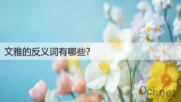 文雅的反义词有哪些？