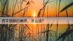乔文假醋的意思，怎么读？